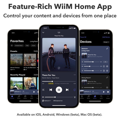 WiiM Ultra Music Streamer & Digital Preamp | 3.5" Touchscreen, Compatible with Google Cast & Alexa, Stream Spotify, Amazon Music, Tidal & More | HDMI ARC, Phono Input & Headphone Output | Space Gray